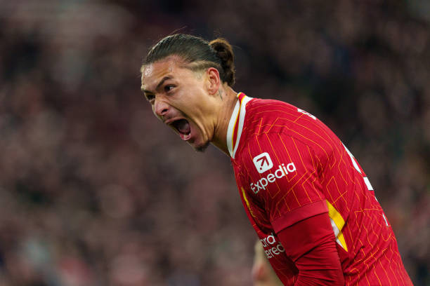 许多曾在N 许多曾在N