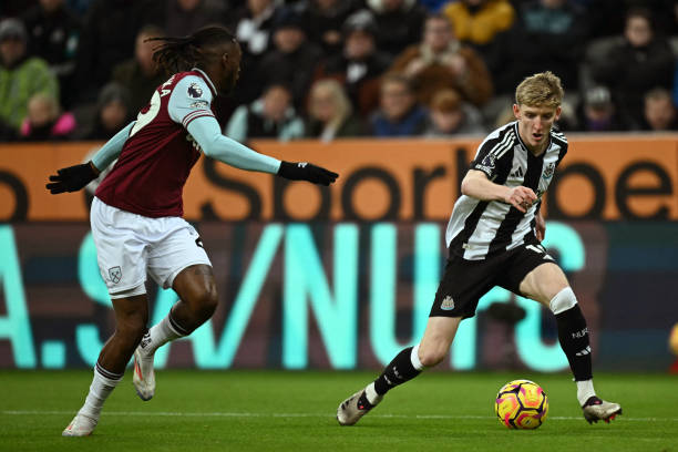 他们的体型 他们的体型