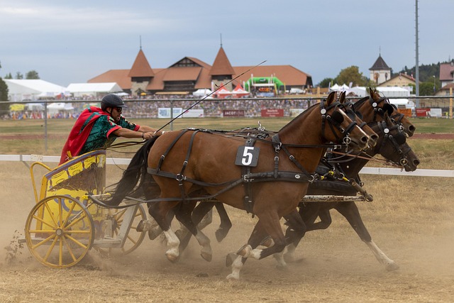 的重要一步 的重要一步